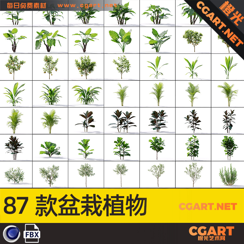 87款盆栽植物_CG模型下载_免费模型-橙光艺术网