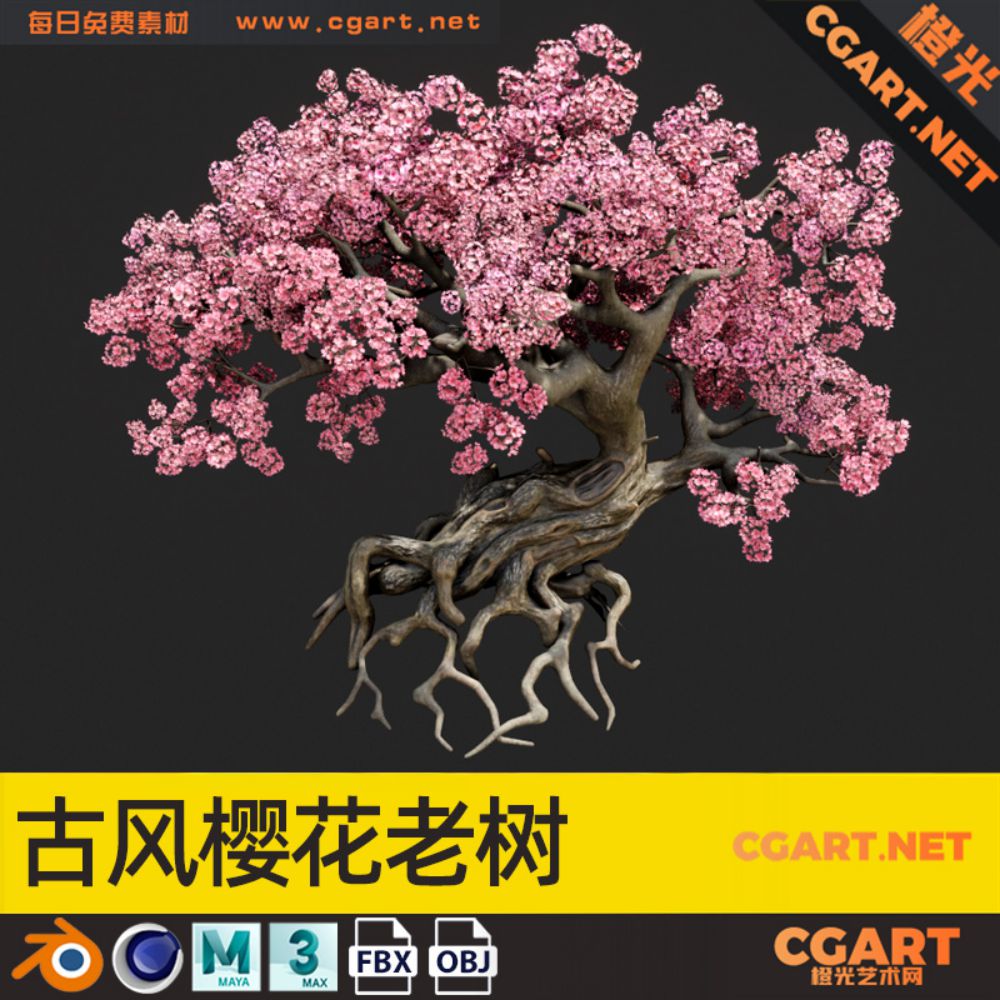 古风樱花老树_免费3D模型_CGART-橙光艺术网