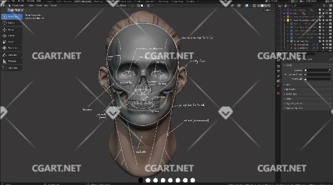 Blender雕刻教程 雕刻头大师(V1.3)-3D搅拌机课程-橙光艺术网