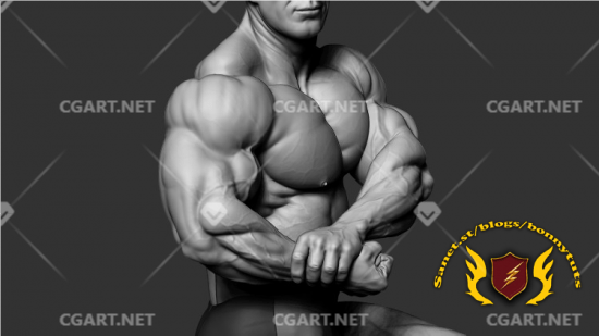 高级 Zbrush Bodybuilder 人体解剖教程-橙光艺术网