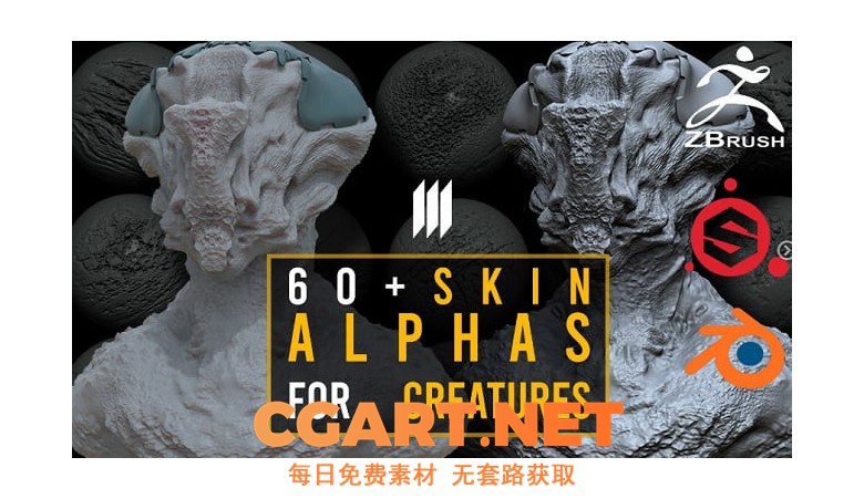 材质贴图_Artstation- 用于生物、Zbrush（数字雕刻软件）、Substance Painter、Blender（三维动画制作软件）的 60 种皮肤透明通道贴图_CGART-橙光艺术网